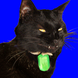 160-1.gif