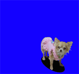 160-2.gif