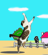 160-2.gif