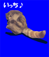 160.gif