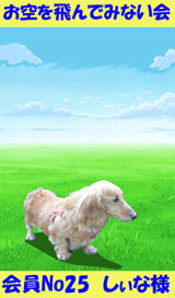 160.gif