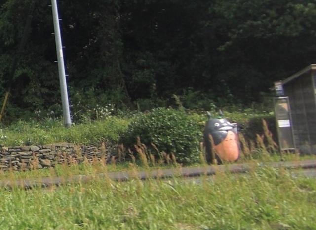 165.JPG