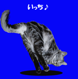 222.gif