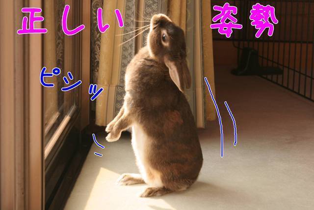 9.JPG