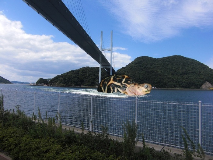 てんてん女神大橋.jpg
