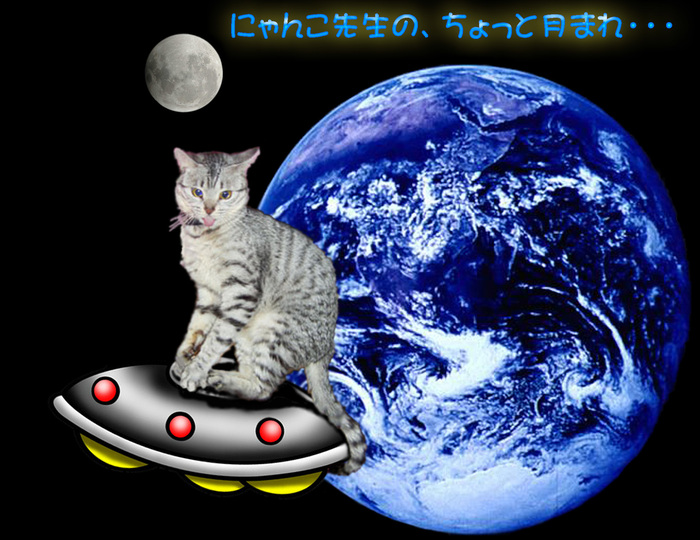 にゃんこ先生の、ちょっと月まれ・・・.jpg