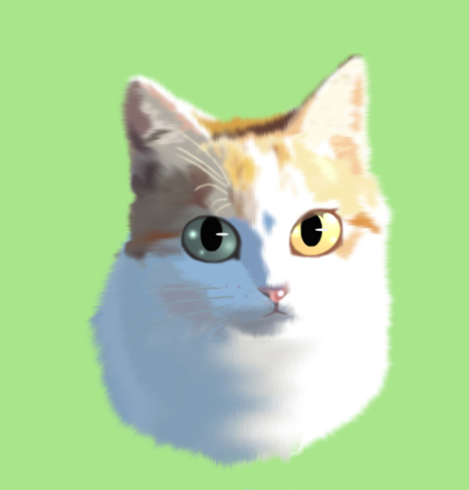 にゃんこ隊長.jpg