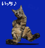 サイドバー.gif