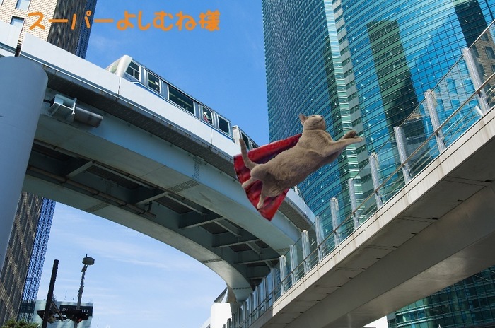 スーパーよしむね様.jpg