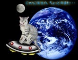 ミニ　にゃんこ先生の、ちょっと月まれ・・・.jpg