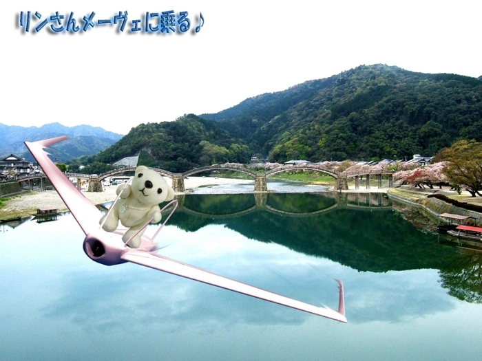 メーヴェ (Möwe)中.jpg