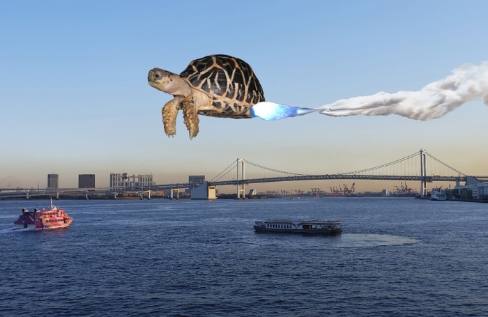 レインボウブリッジ中.jpg