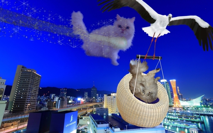 中.jpg