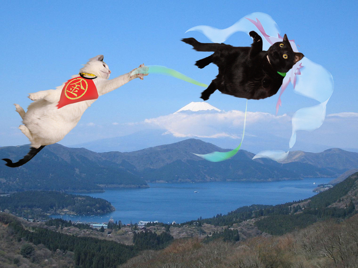 中.jpg