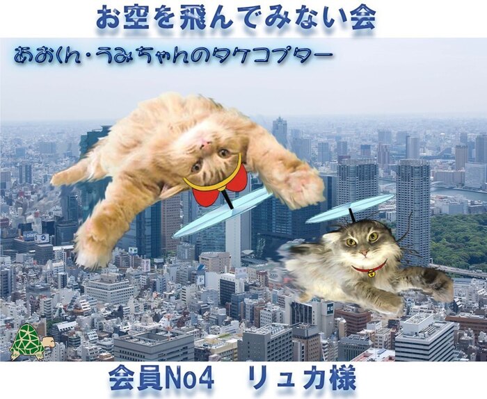 東京大.jpg