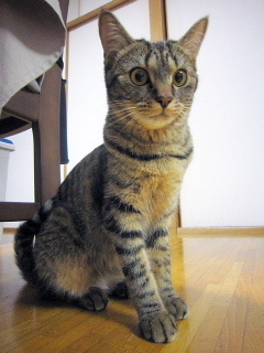 conv0001-617df.jpg