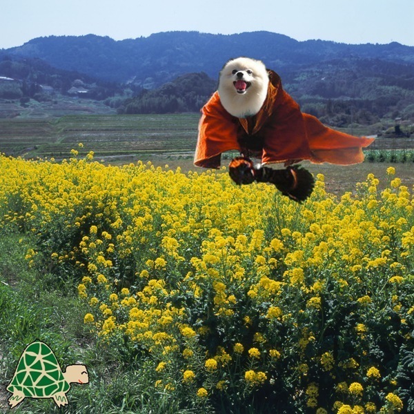 rikutan - 修正前.jpg