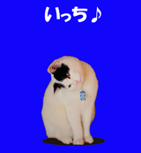 160-666a3.gif
