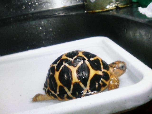 2007年01月19日