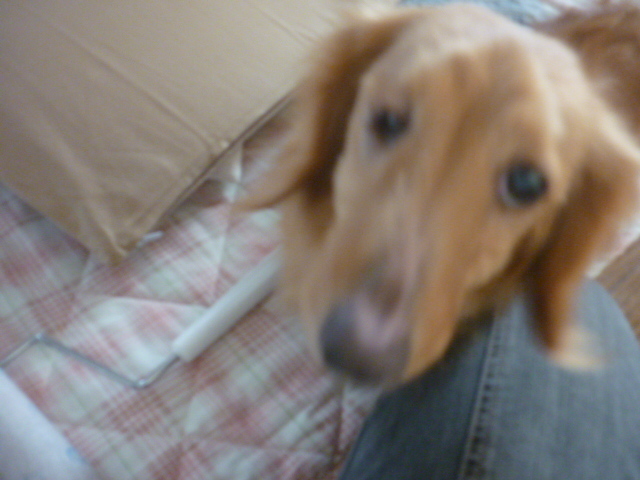 P1030020.JPG